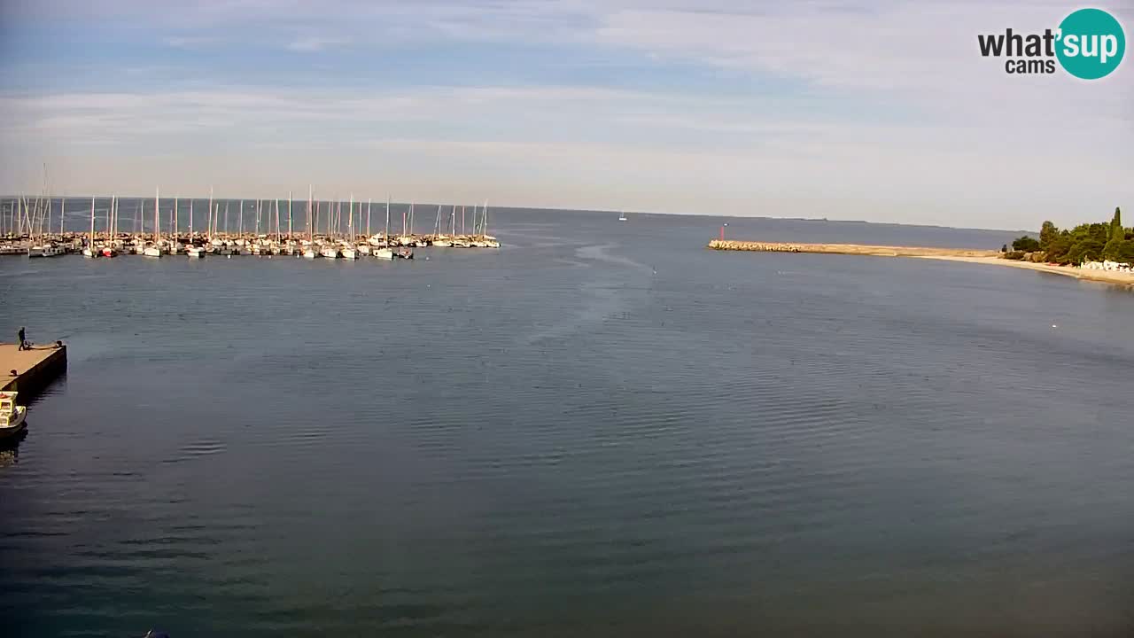 Webcam Bahía de Sistiana – Vista en directo del puerto deportivo y la costa