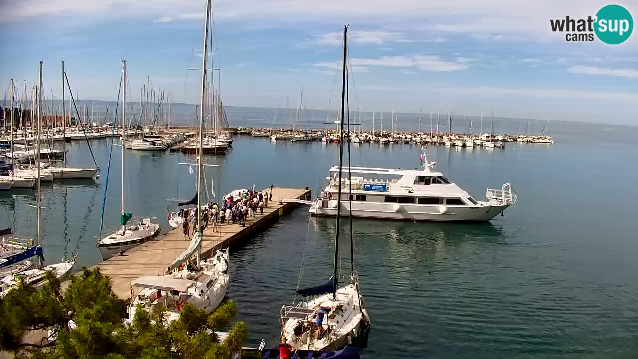 Webcam Bahía de Sistiana – Vista en directo del puerto deportivo y la costa