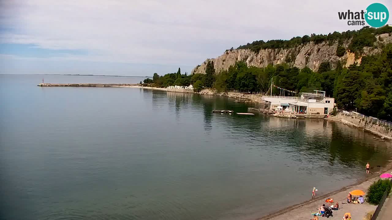 Web kamera Sistiana Uvala – Pogled uživo na marinu i zaljev
