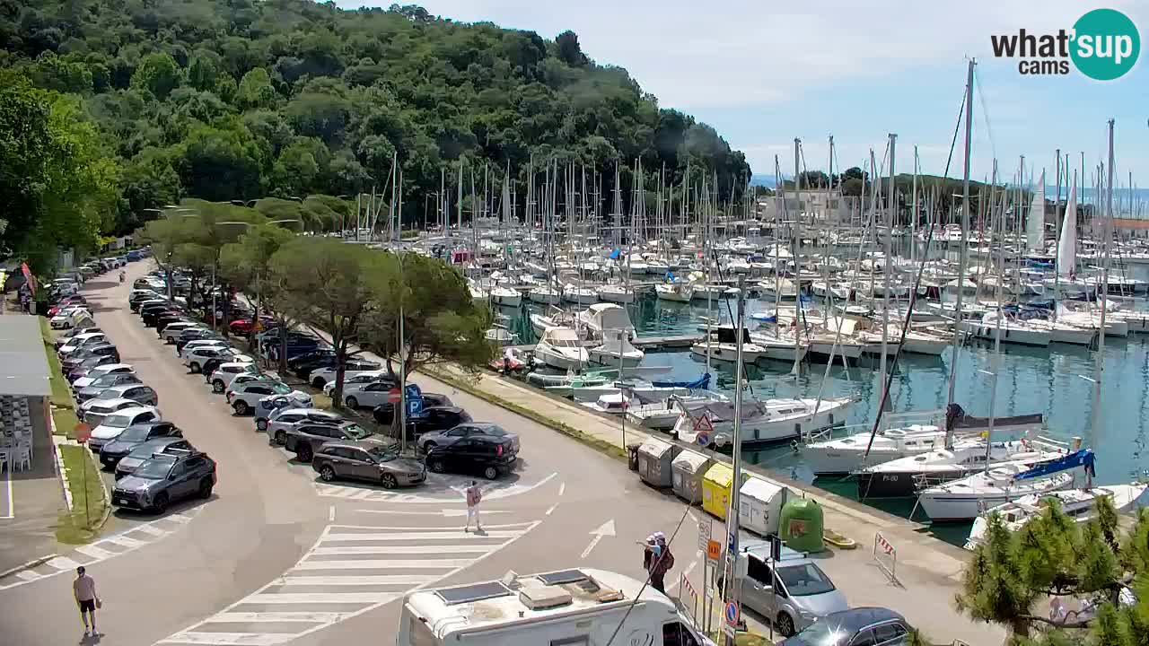 Webcam Bahía de Sistiana – Vista en directo del puerto deportivo y la costa