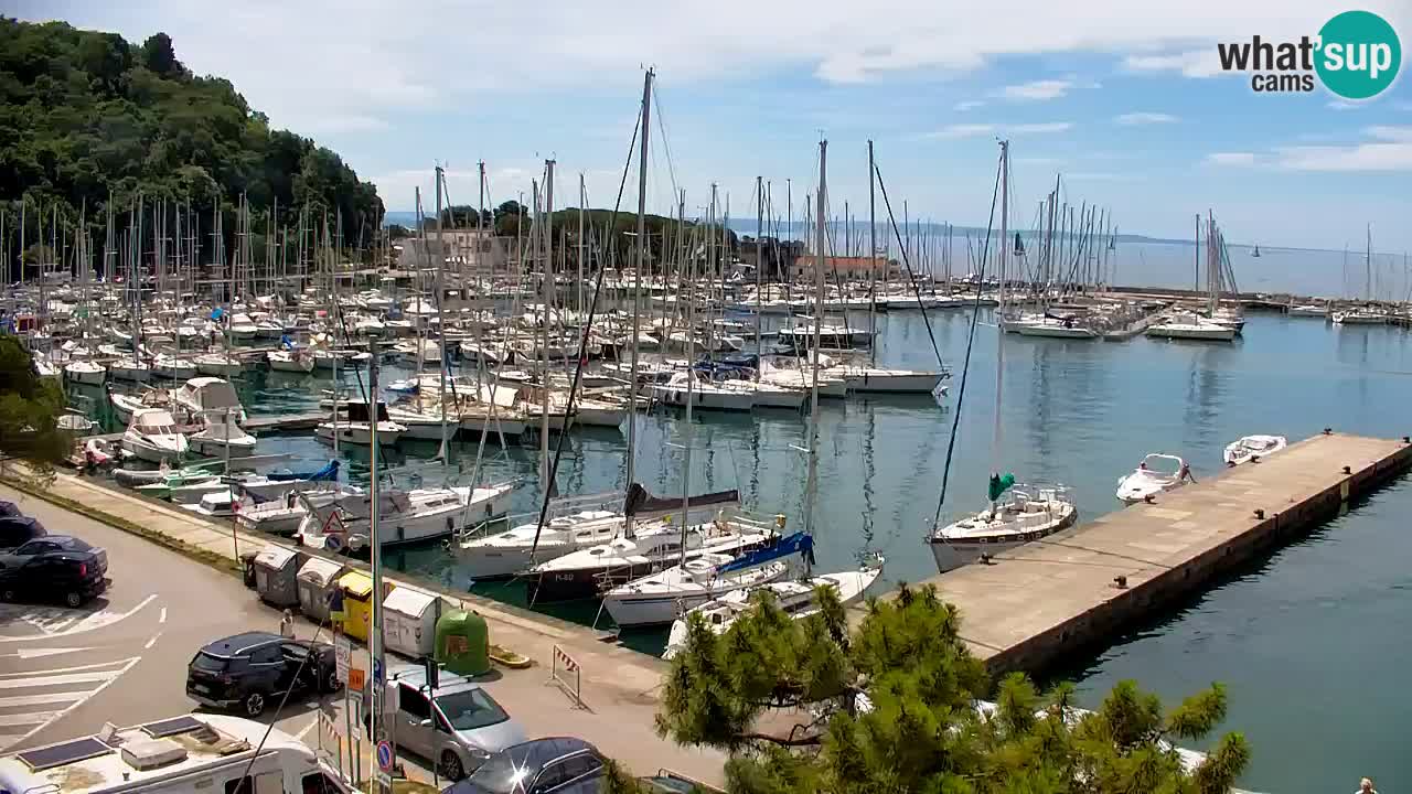 Webcam Bahía de Sistiana – Vista en directo del puerto deportivo y la costa