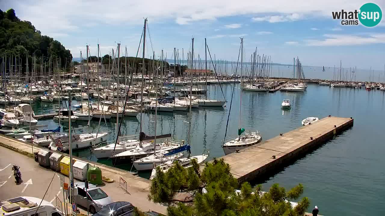 Webcam Bahía de Sistiana – Vista en directo del puerto deportivo y la costa