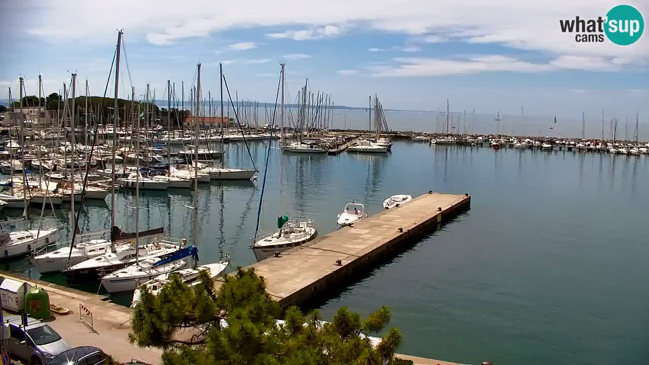 Web kamera Sistiana Uvala – Pogled uživo na marinu i zaljev
