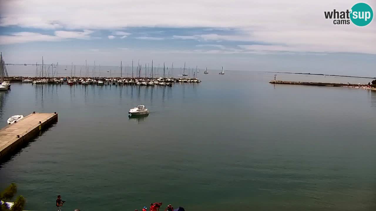 Webcam Bahía de Sistiana – Vista en directo del puerto deportivo y la costa