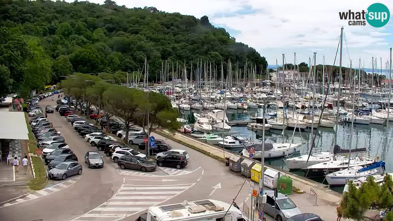 Web kamera Sistiana Uvala – Pogled uživo na marinu i zaljev
