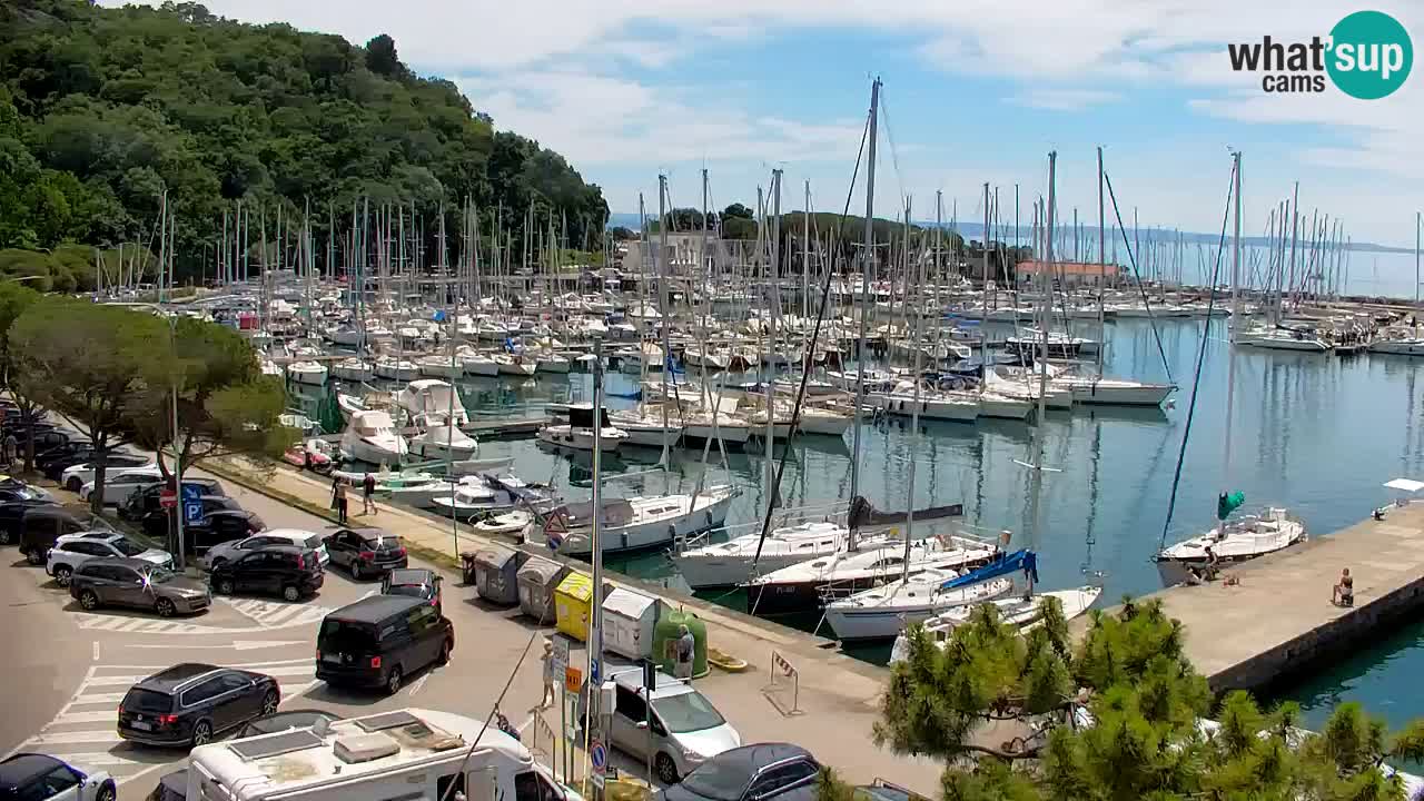 Webcam Bahía de Sistiana – Vista en directo del puerto deportivo y la costa