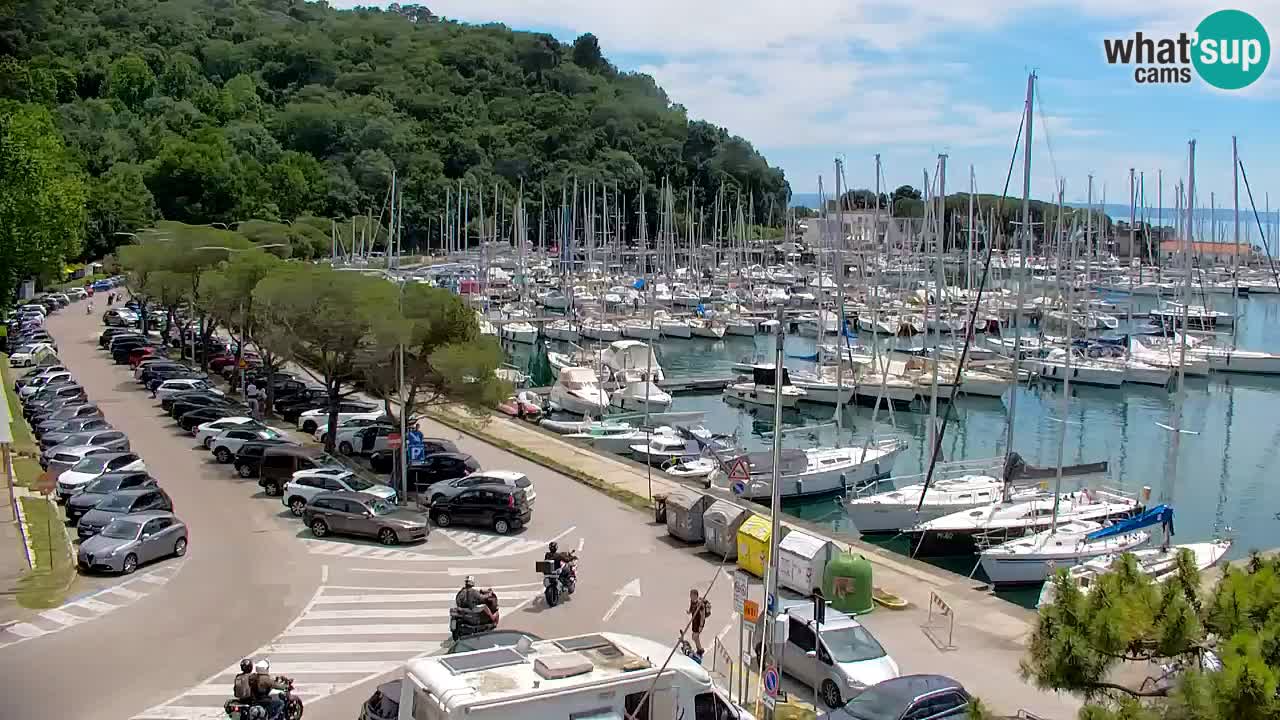 Web kamera Sistiana Uvala – Pogled uživo na marinu i zaljev