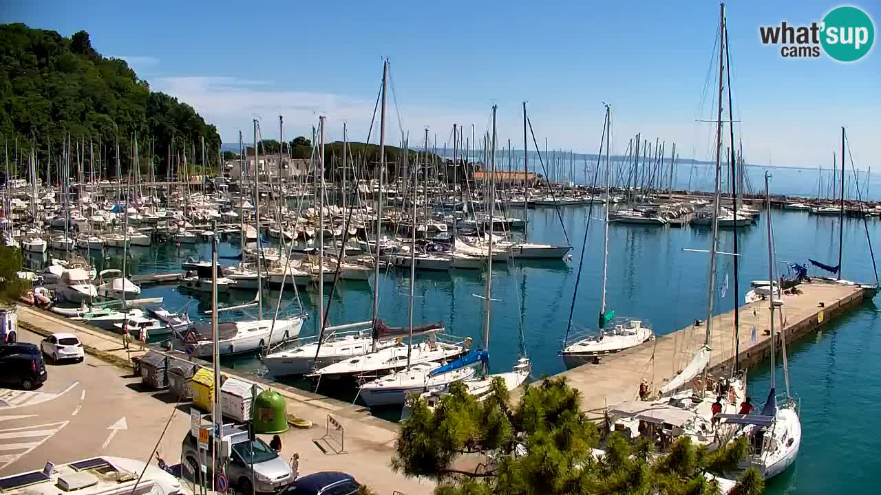 Webcam Sistiana Baia – Live View of the Marina and Gulf