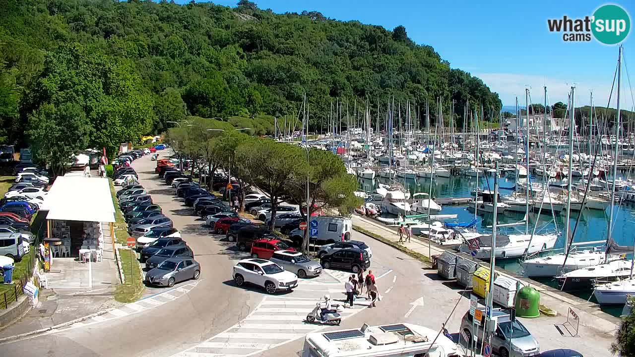 Webcam Sistiana Baia – Live View of the Marina and Gulf