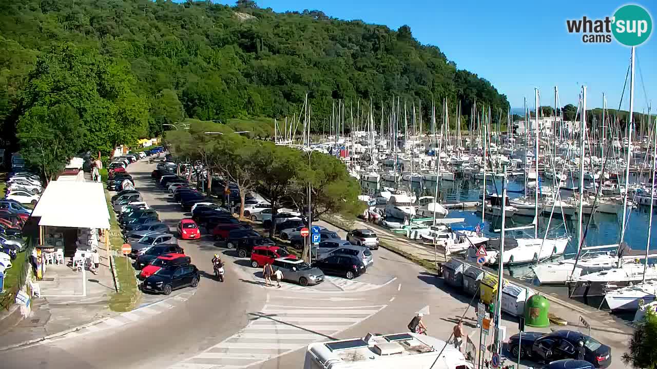Webcam Sistiana Baia – Live View of the Marina and Gulf