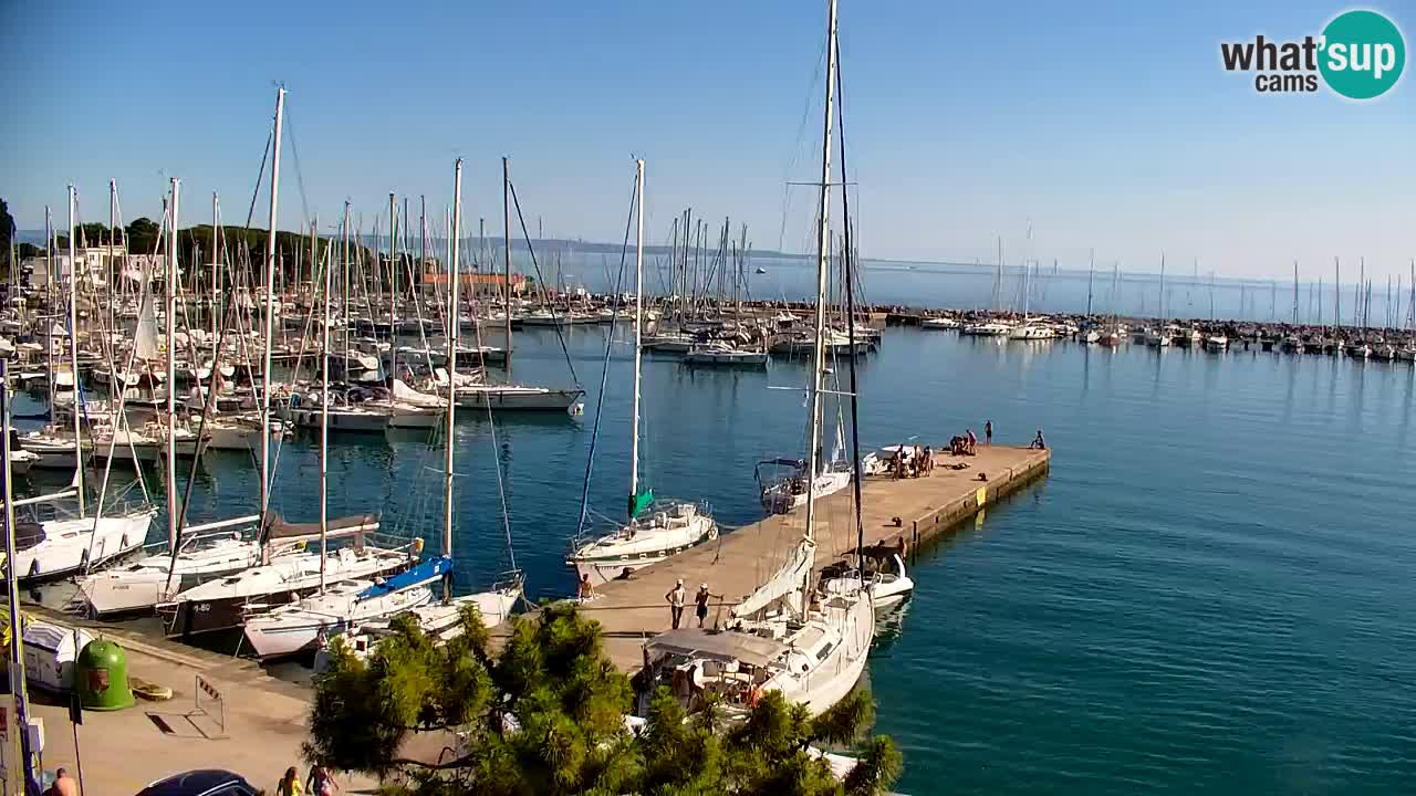 Spletna kamera Sesljanski zaliv – Pogled v živo na marino in zaliv