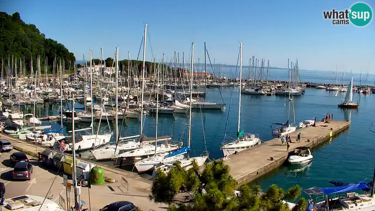 Webcam Bahía de Sistiana – Vista en directo del puerto deportivo y la costa