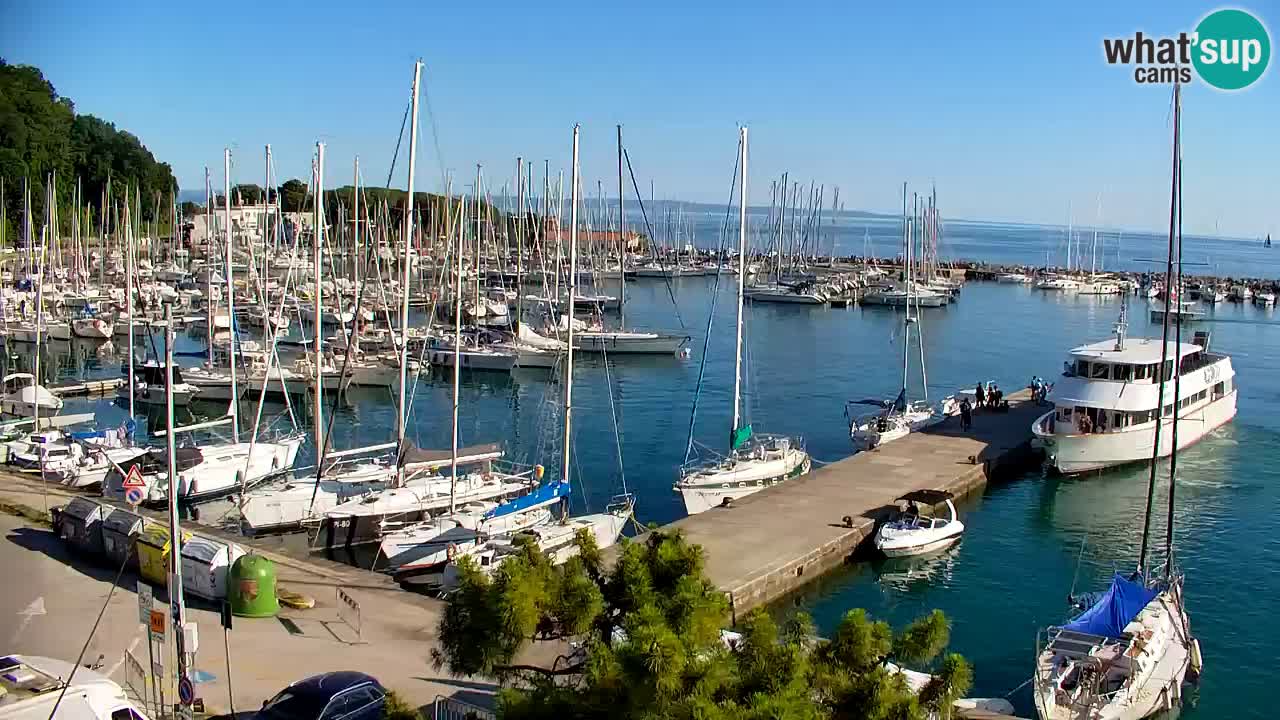 Webcam Bahía de Sistiana – Vista en directo del puerto deportivo y la costa