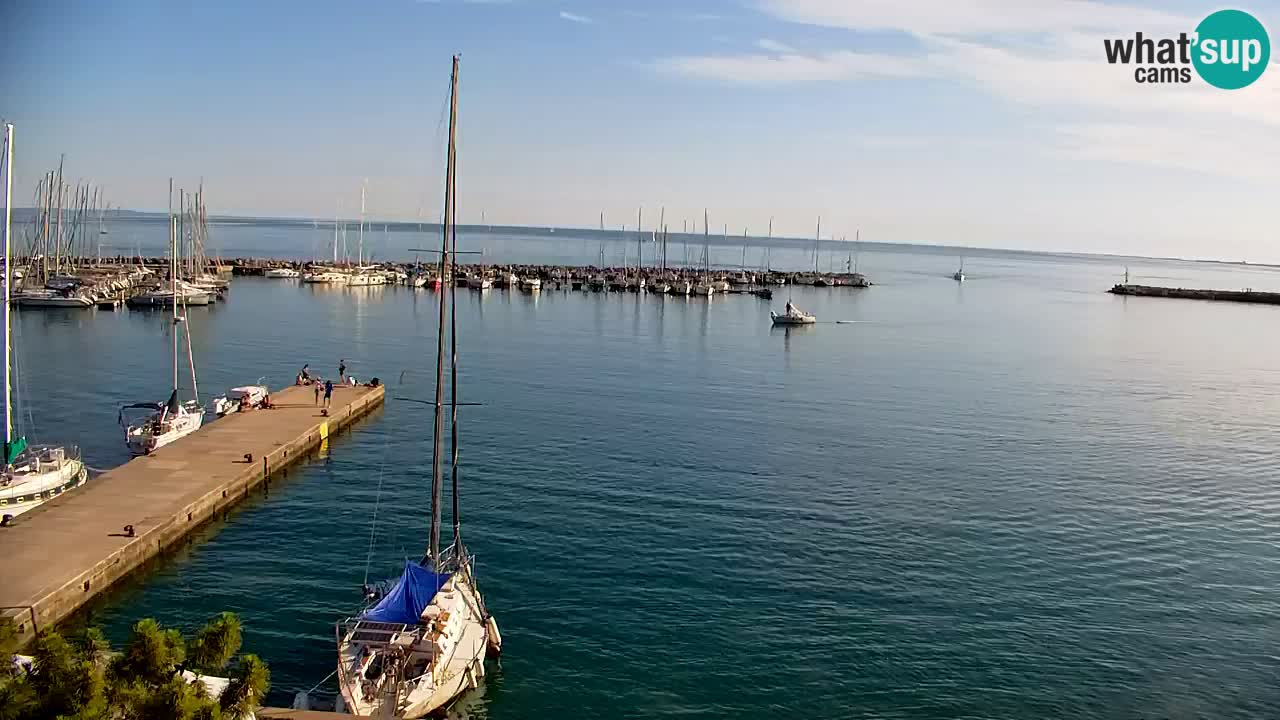 Webcam Bahía de Sistiana – Vista en directo del puerto deportivo y la costa