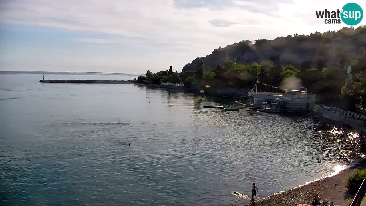 Webcam Sistiana Bucht – Liveblick auf Marina und Bucht