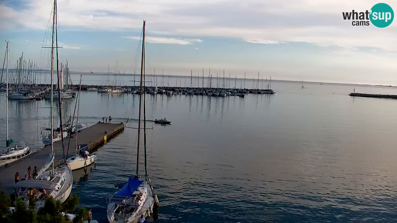 Web kamera Sistiana Uvala – Pogled uživo na marinu i zaljev