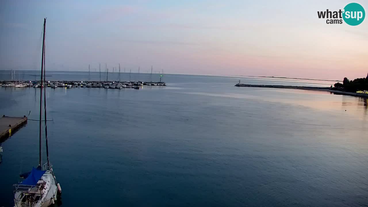 Webcam Sistiana Baia – Live View of the Marina and Gulf