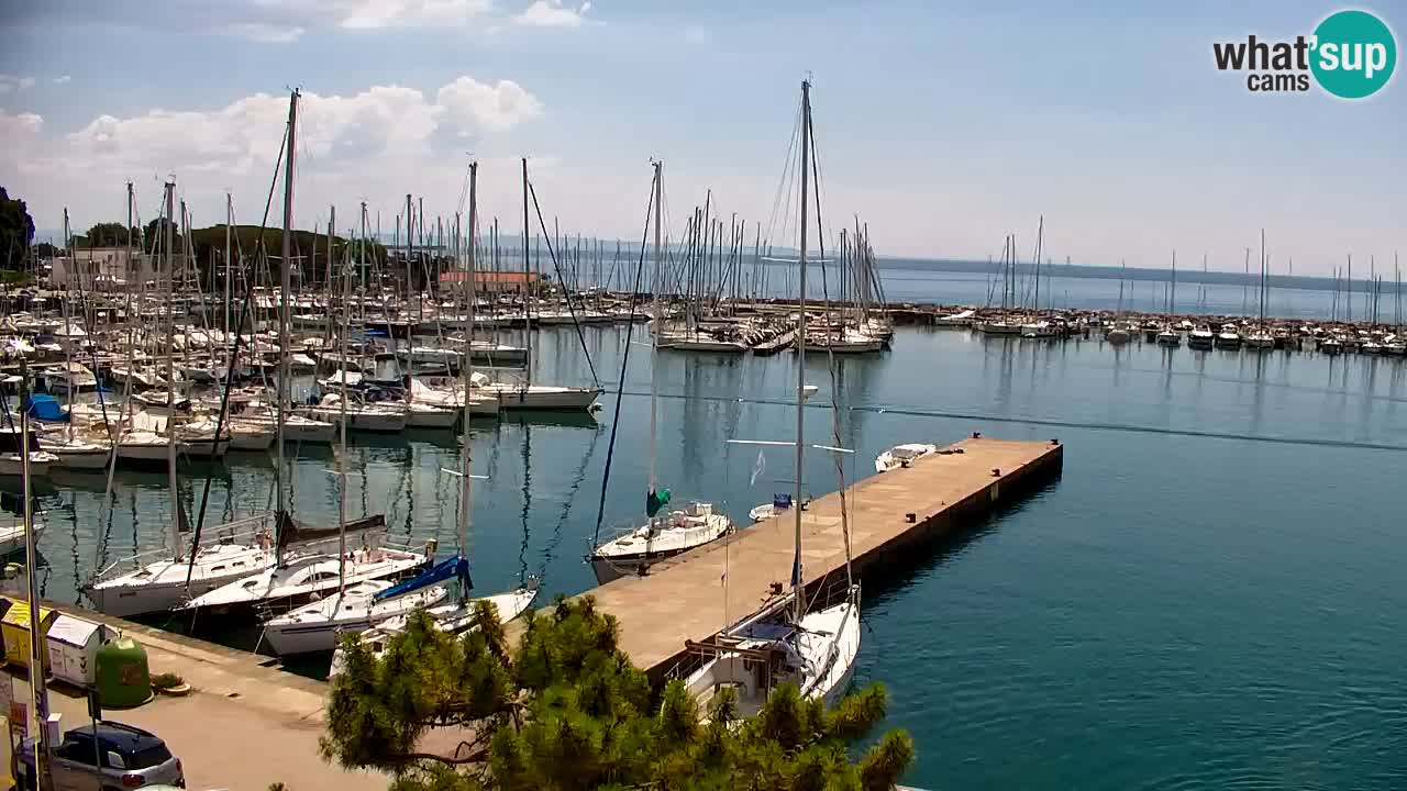 Webcam Sistiana Baia – Live View of the Marina and Gulf