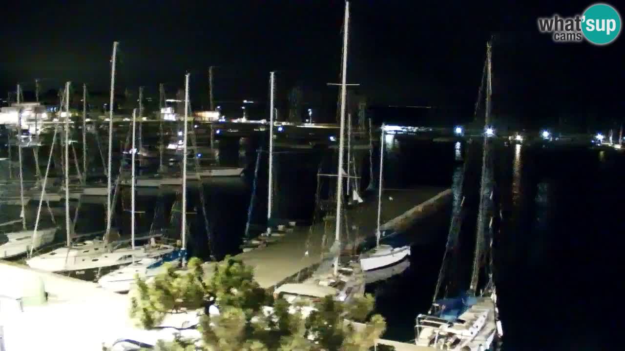 Webcam Bahía de Sistiana – Vista en directo del puerto deportivo y la costa
