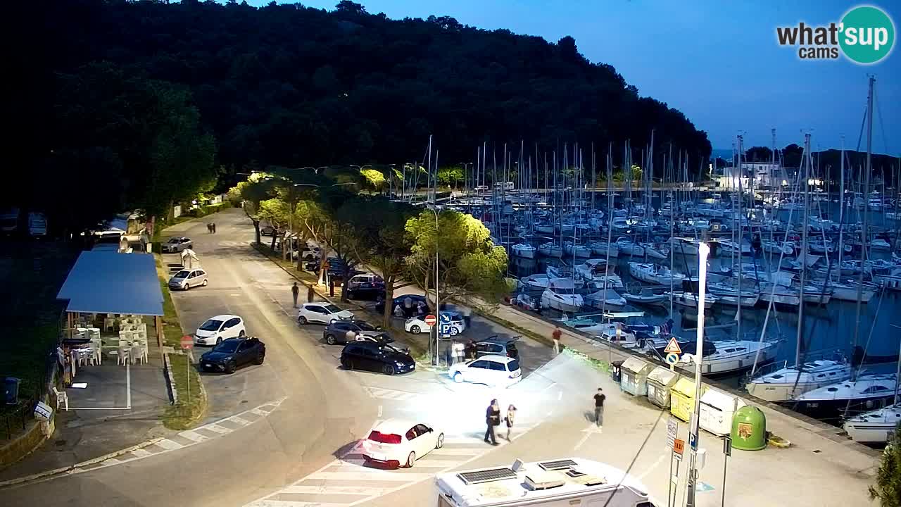 Webcam Bahía de Sistiana – Vista en directo del puerto deportivo y la costa