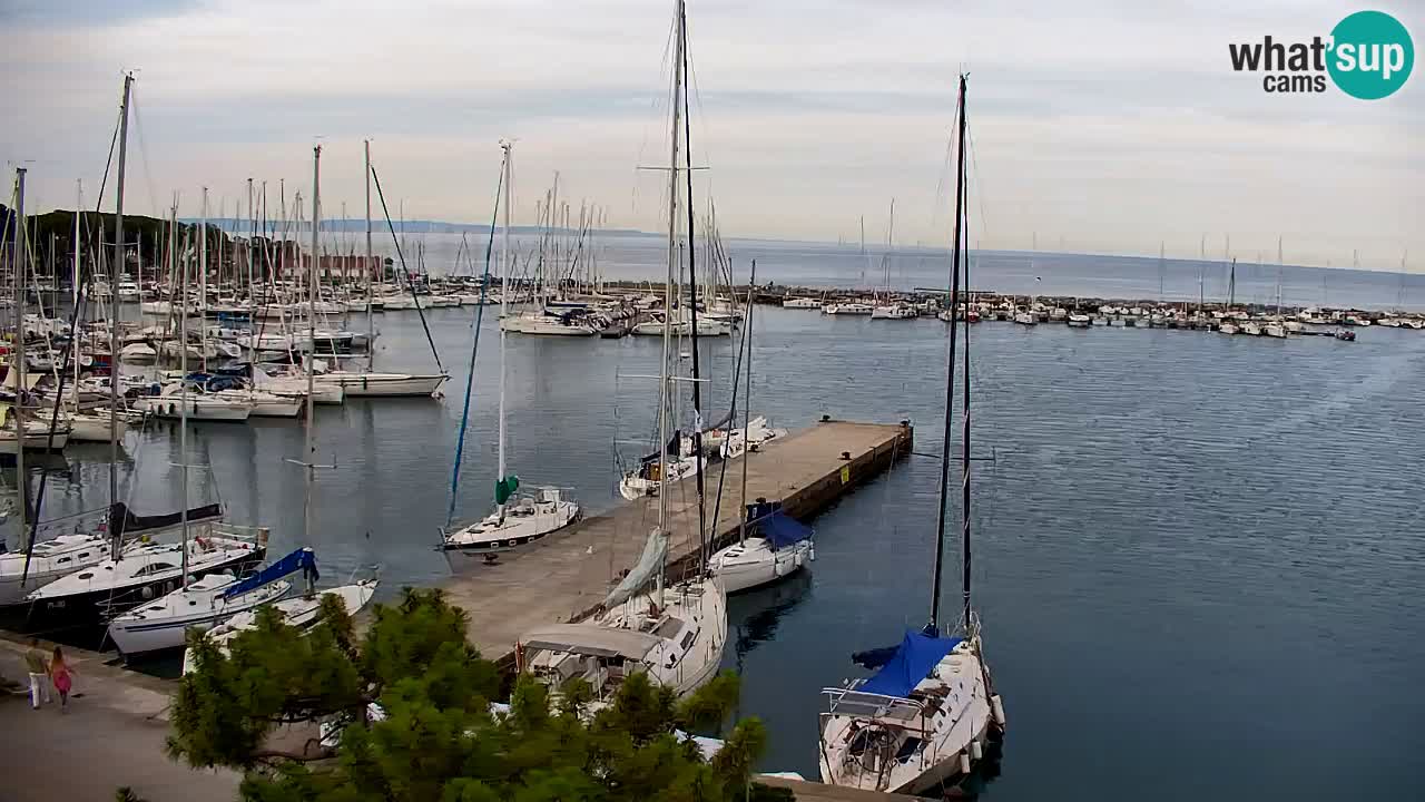 Webcam Sistiana Baia – Live View of the Marina and Gulf
