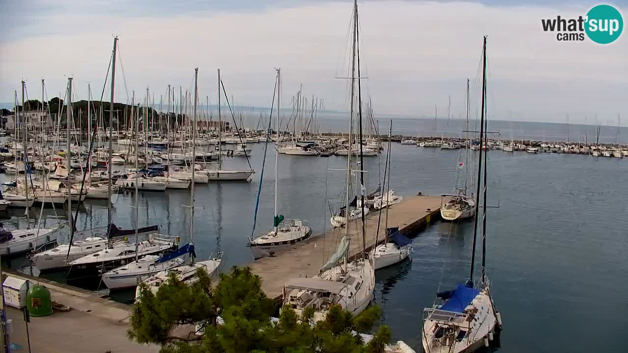 Webcam Sistiana Bucht – Liveblick auf Marina und Bucht