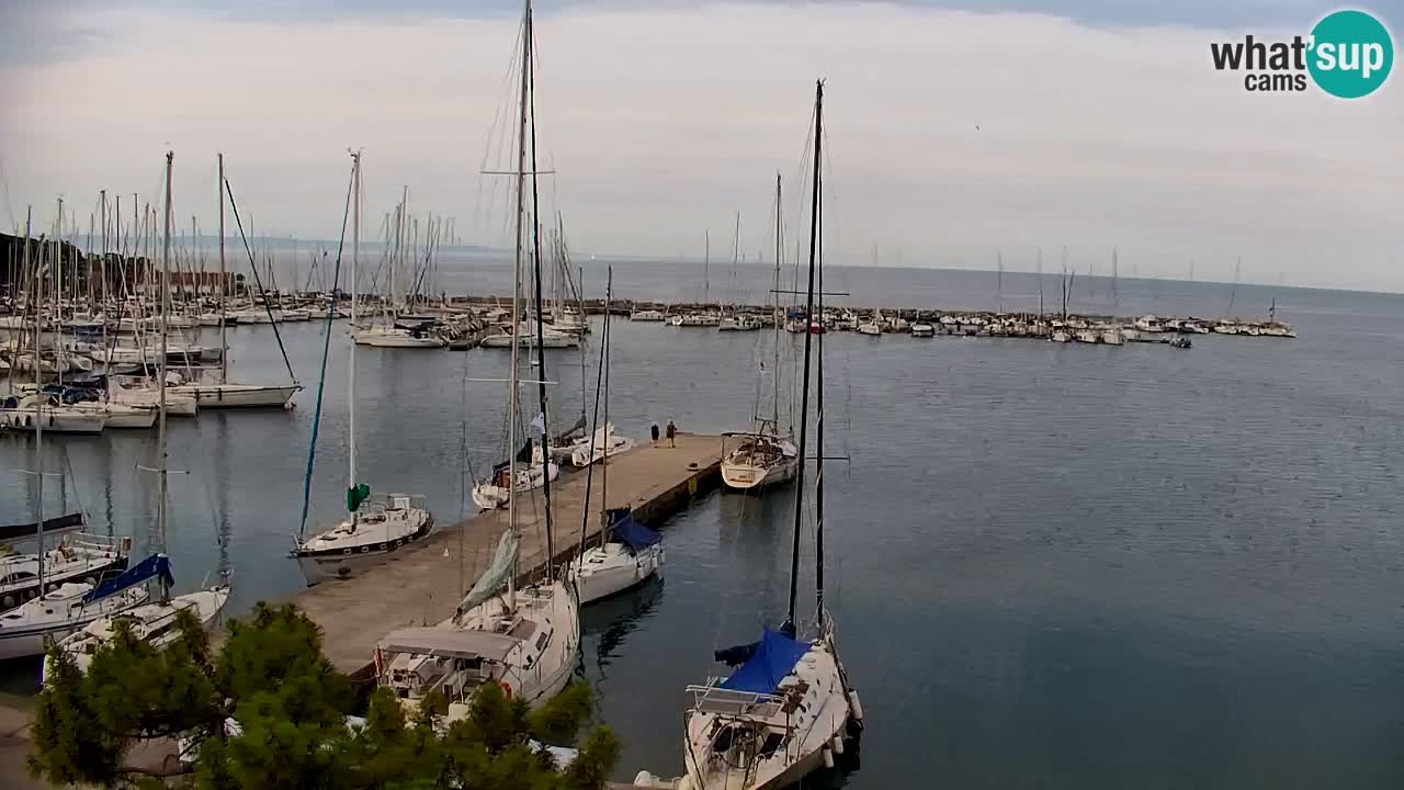 Webcam Baie de Sistiana – Vue en direct de la marina et de la baie