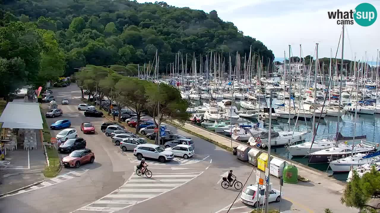 Webcam Sistiana Baia – Live View of the Marina and Gulf