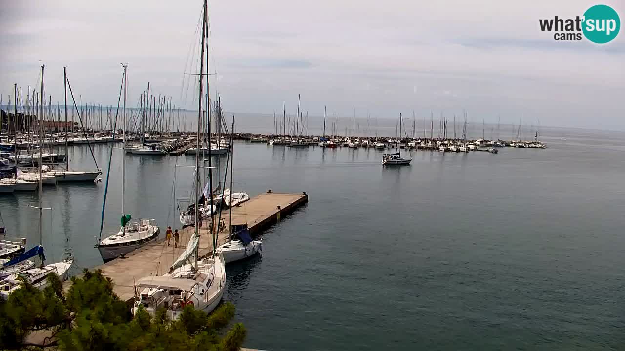 Webcam Sistiana Baia – Live View of the Marina and Gulf