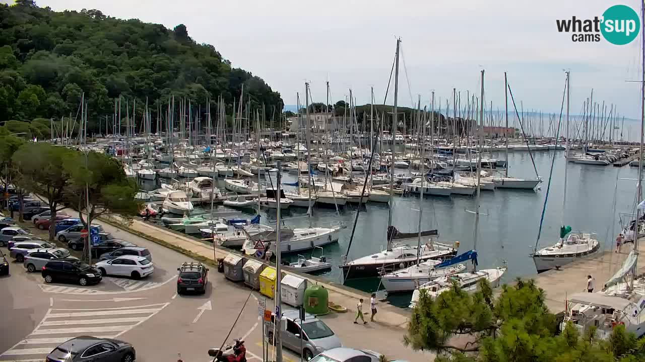 Webcam Sistiana Baia – Live View of the Marina and Gulf