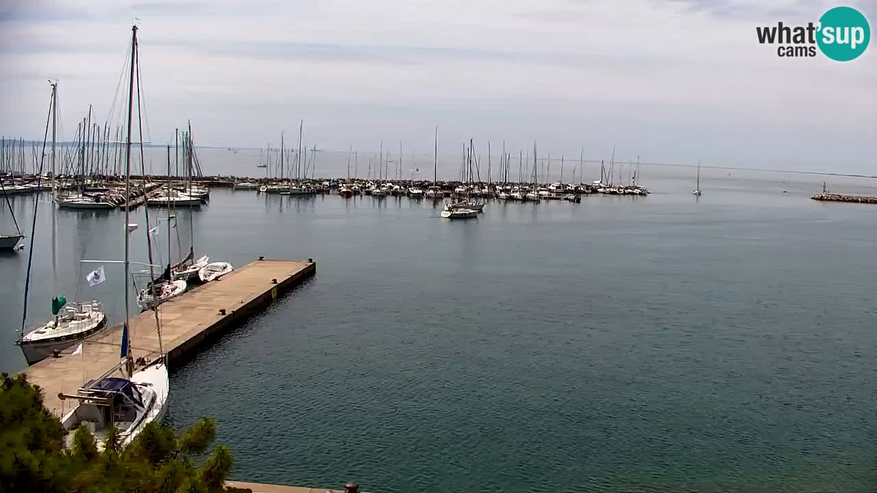 Webcam Sistiana Baia – Live View of the Marina and Gulf
