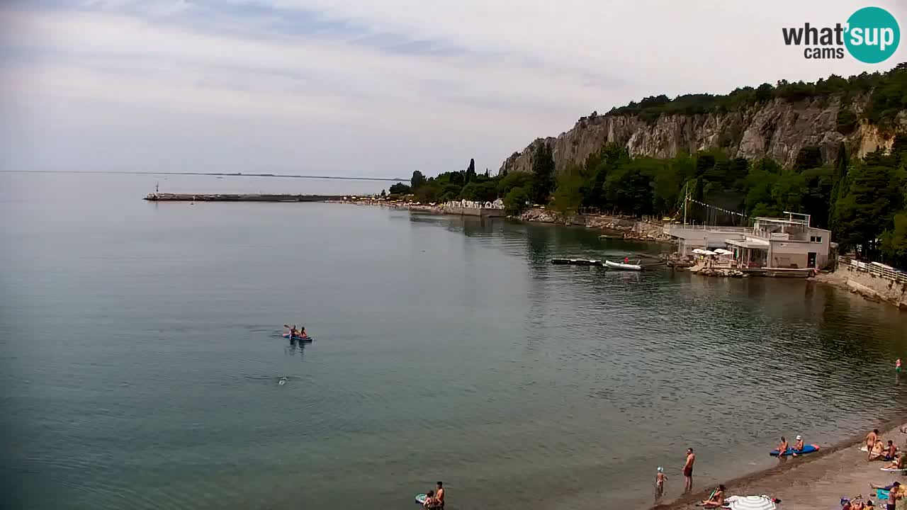 Webcam Baia di Sistiana – Marina e Golfo in diretta