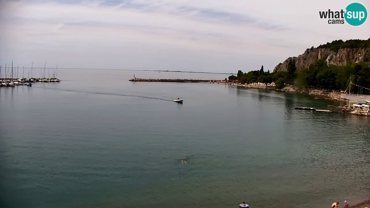 Webcam Bahía de Sistiana – Vista en directo del puerto deportivo y la costa