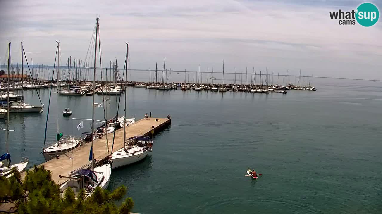 Webcam Sistiana Bucht – Liveblick auf Marina und Bucht