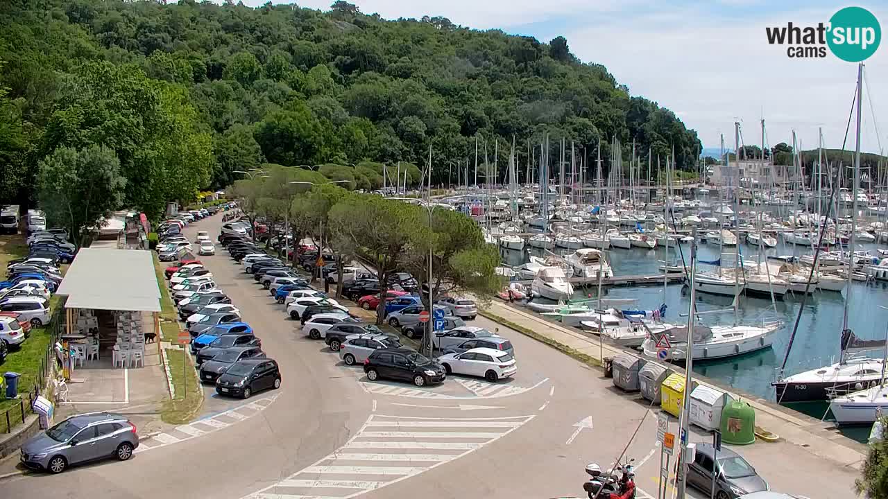 Webcam Sistiana Baia – Live View of the Marina and Gulf