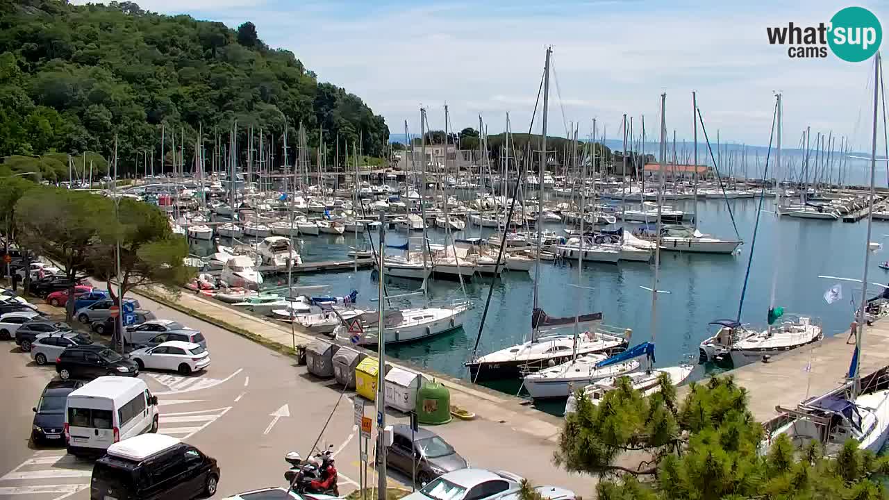 Webcam Bahía de Sistiana – Vista en directo del puerto deportivo y la costa