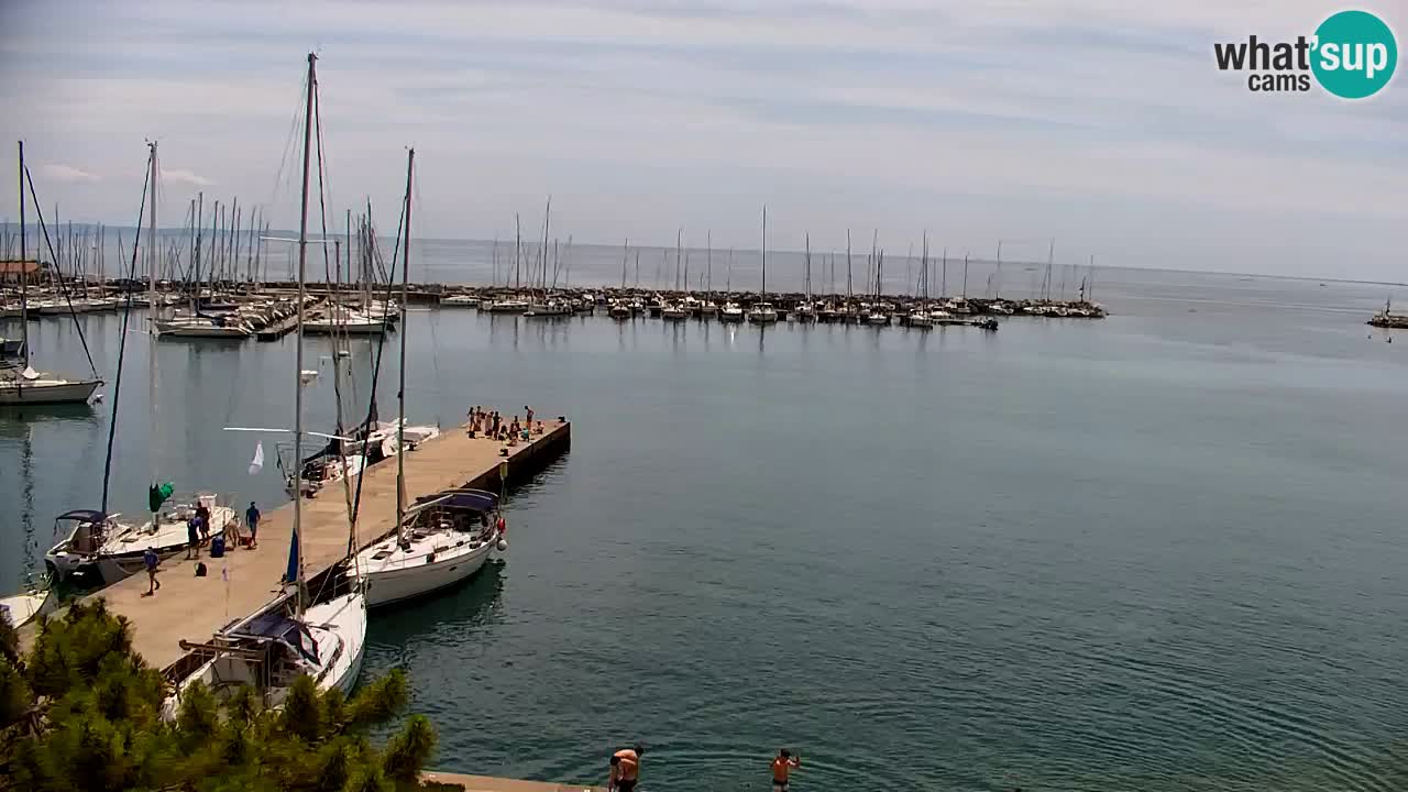 Webcam Bahía de Sistiana – Vista en directo del puerto deportivo y la costa
