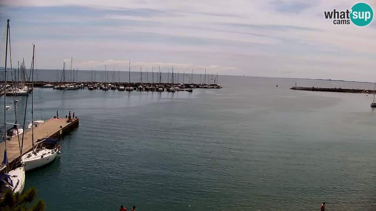 Webcam Sistiana Baia – Live View of the Marina and Gulf
