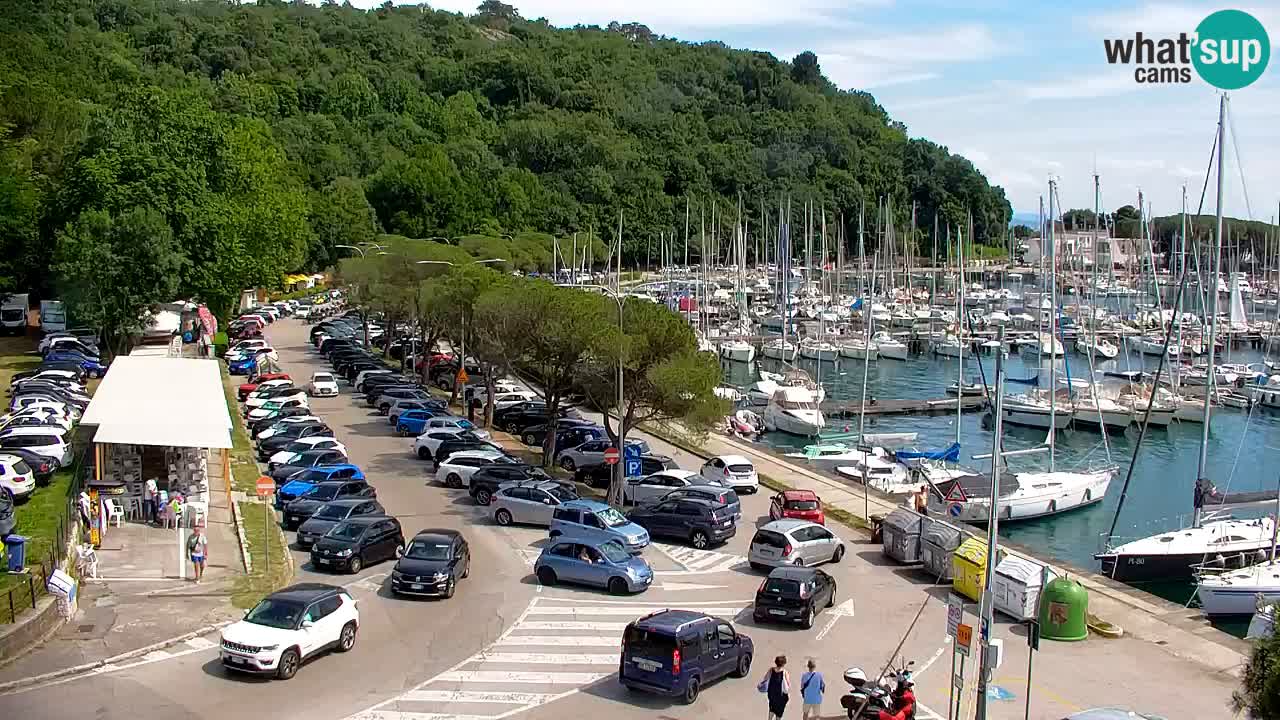 Spletna kamera Sesljanski zaliv – Pogled v živo na marino in zaliv