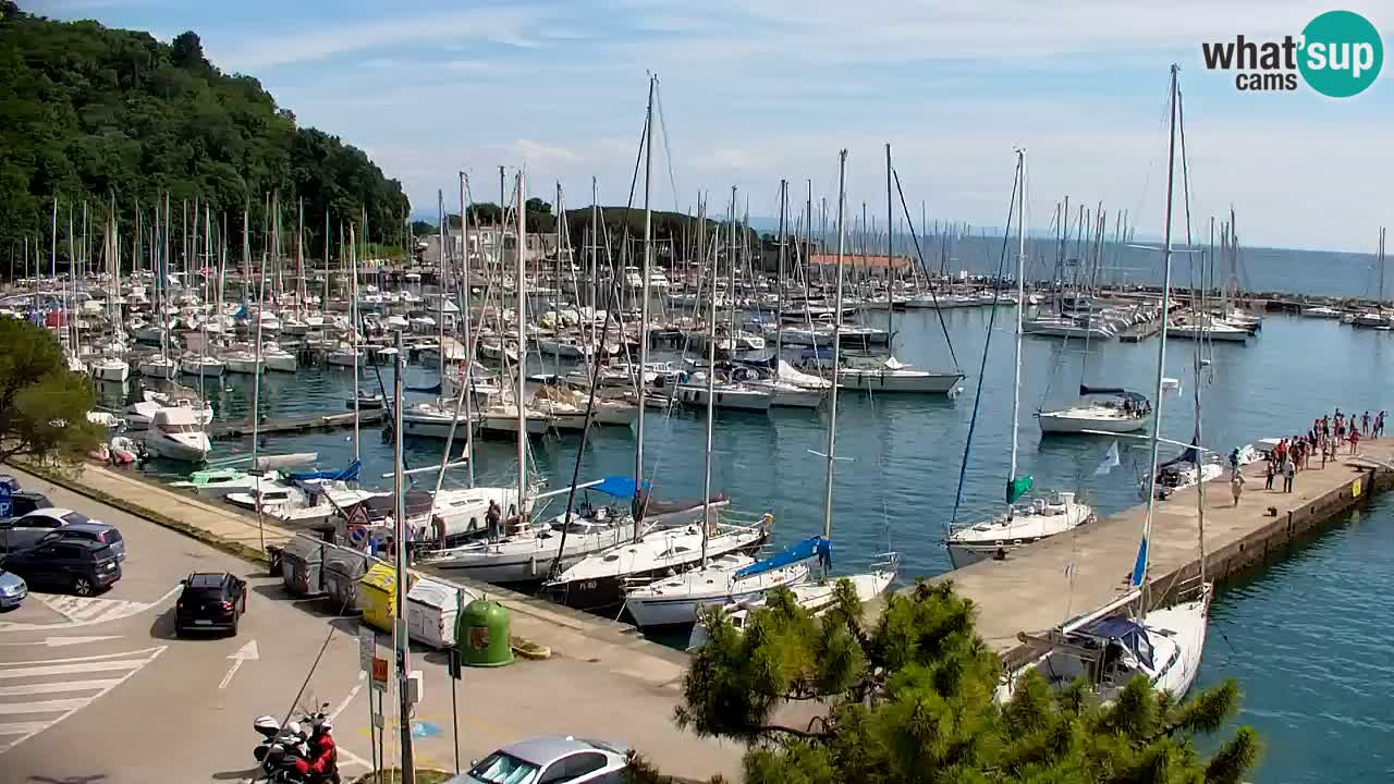 Webcam Sistiana Baia – Live View of the Marina and Gulf