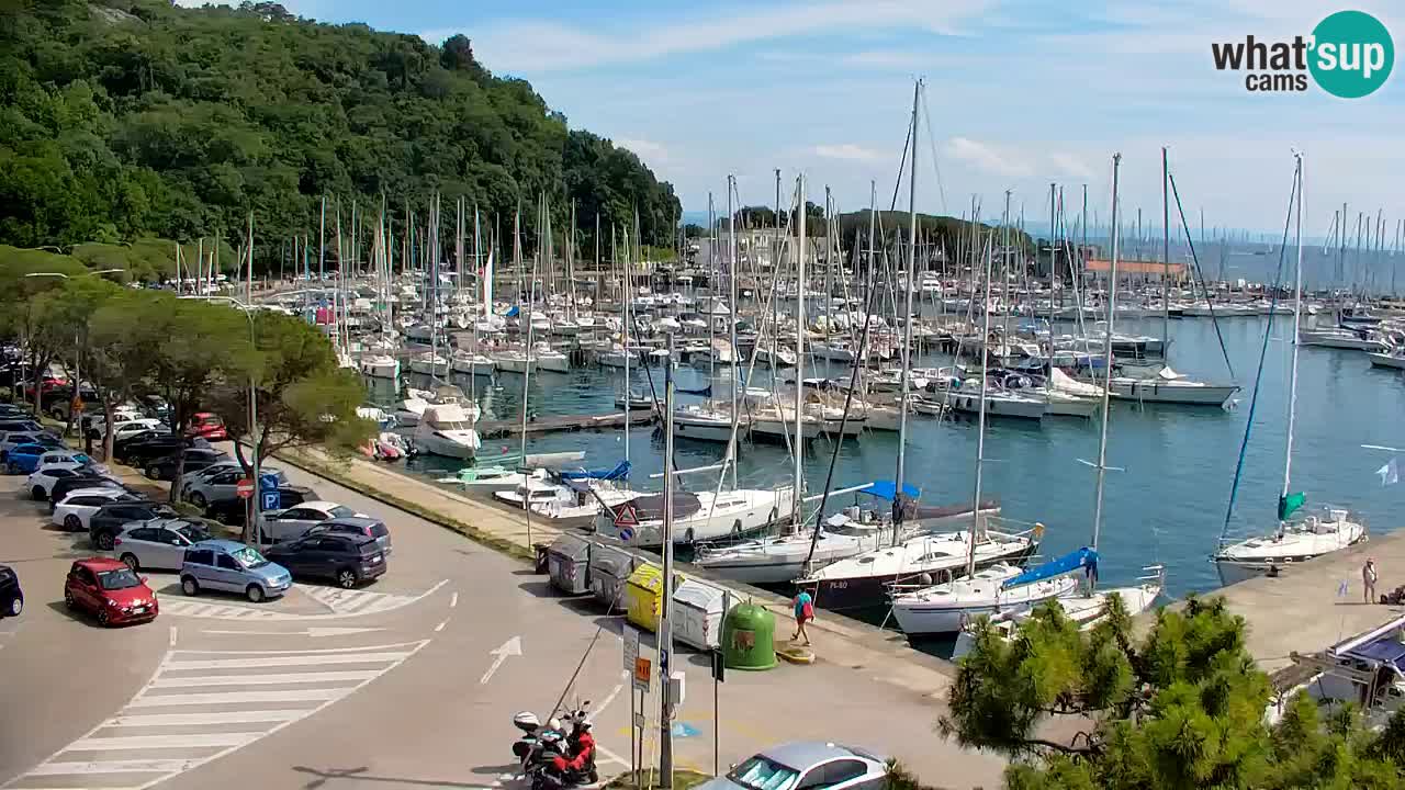 Webcam Bahía de Sistiana – Vista en directo del puerto deportivo y la costa