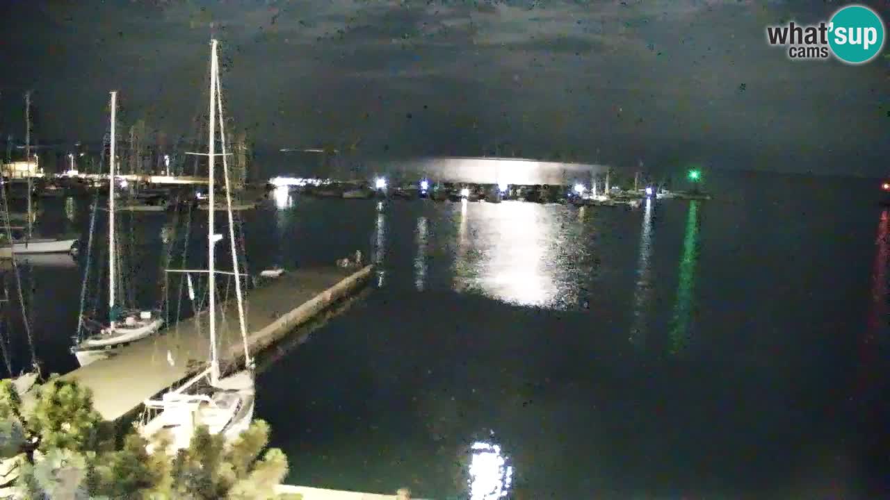 Webcam Sistiana Baia – Live View of the Marina and Gulf