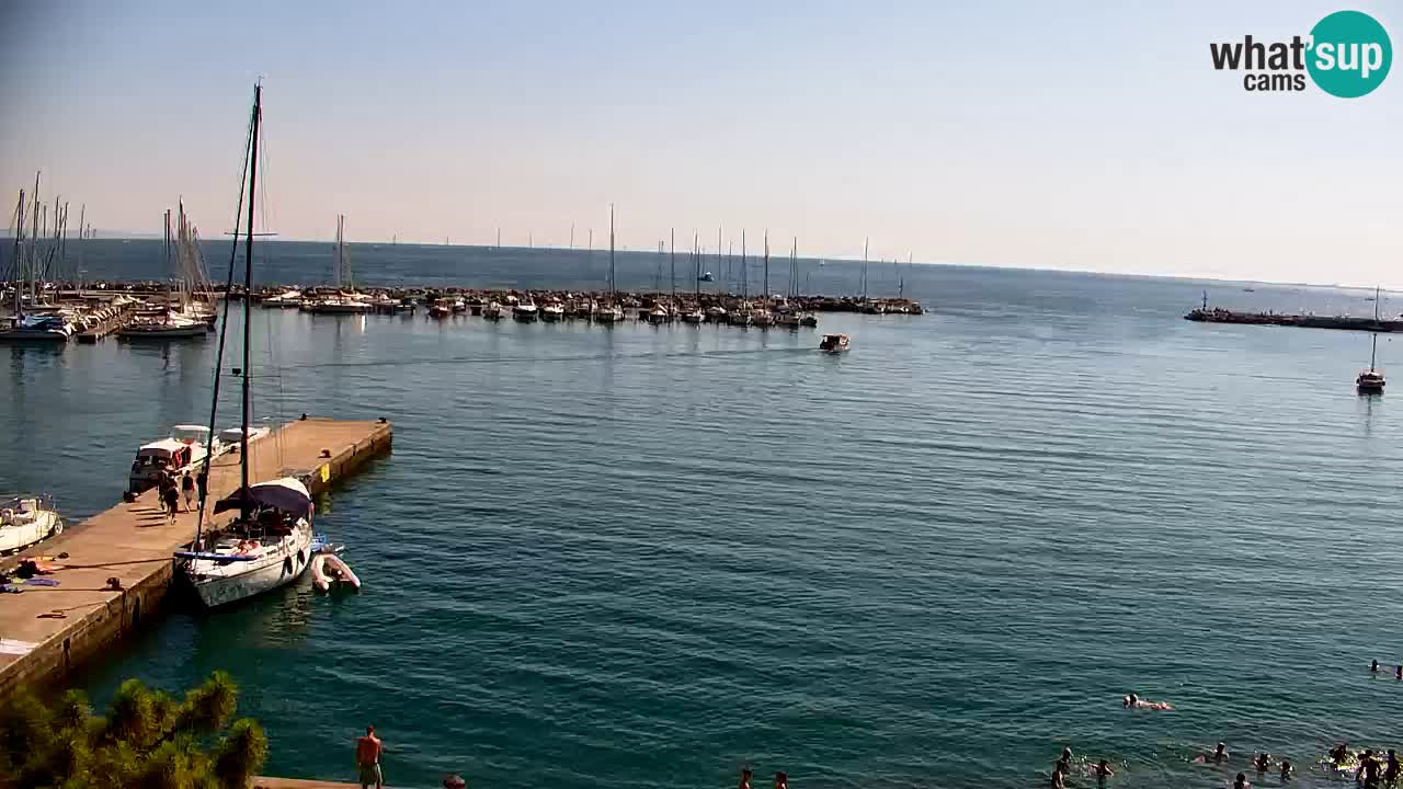 Webcam Sistiana Baia – Live View of the Marina and Gulf