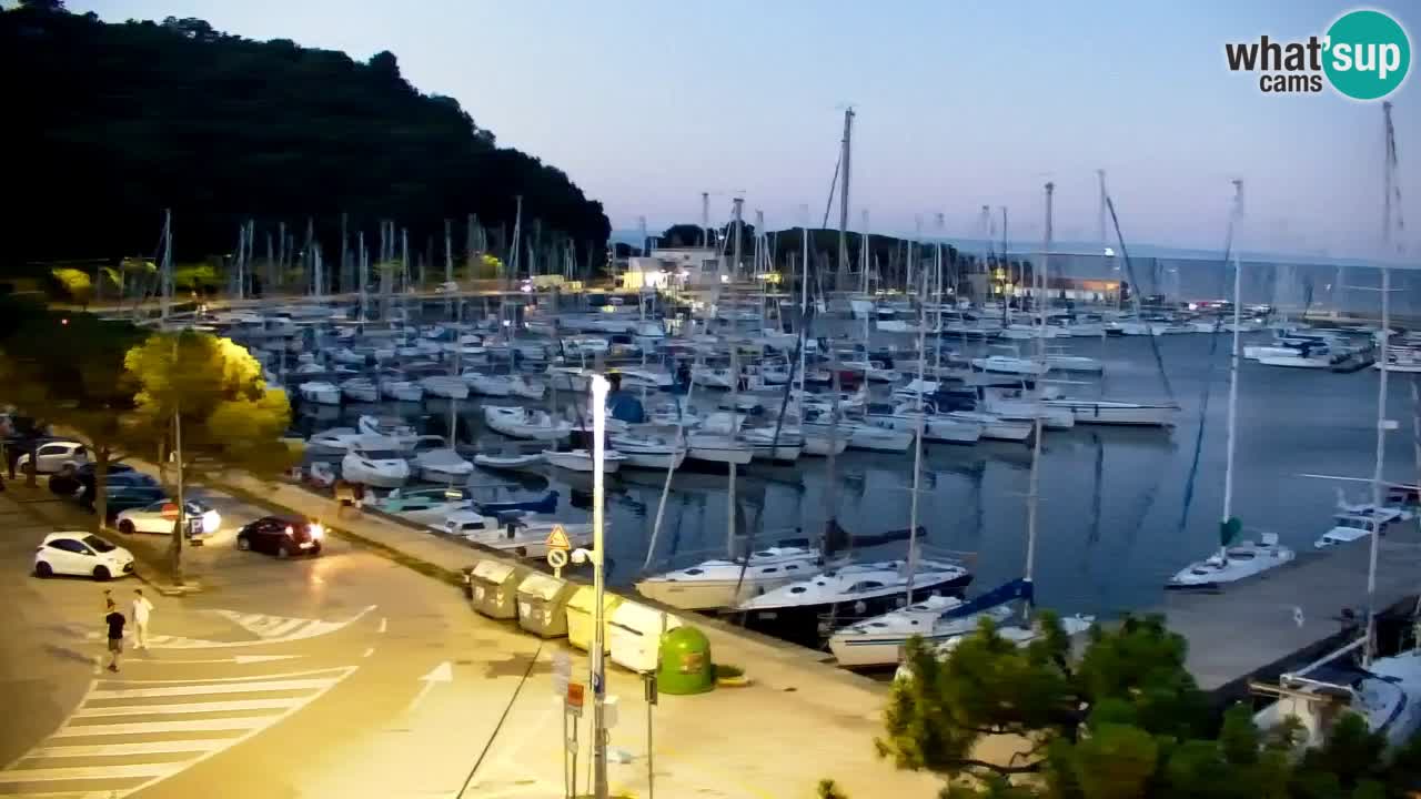 Spletna kamera Sesljanski zaliv – Pogled v živo na marino in zaliv