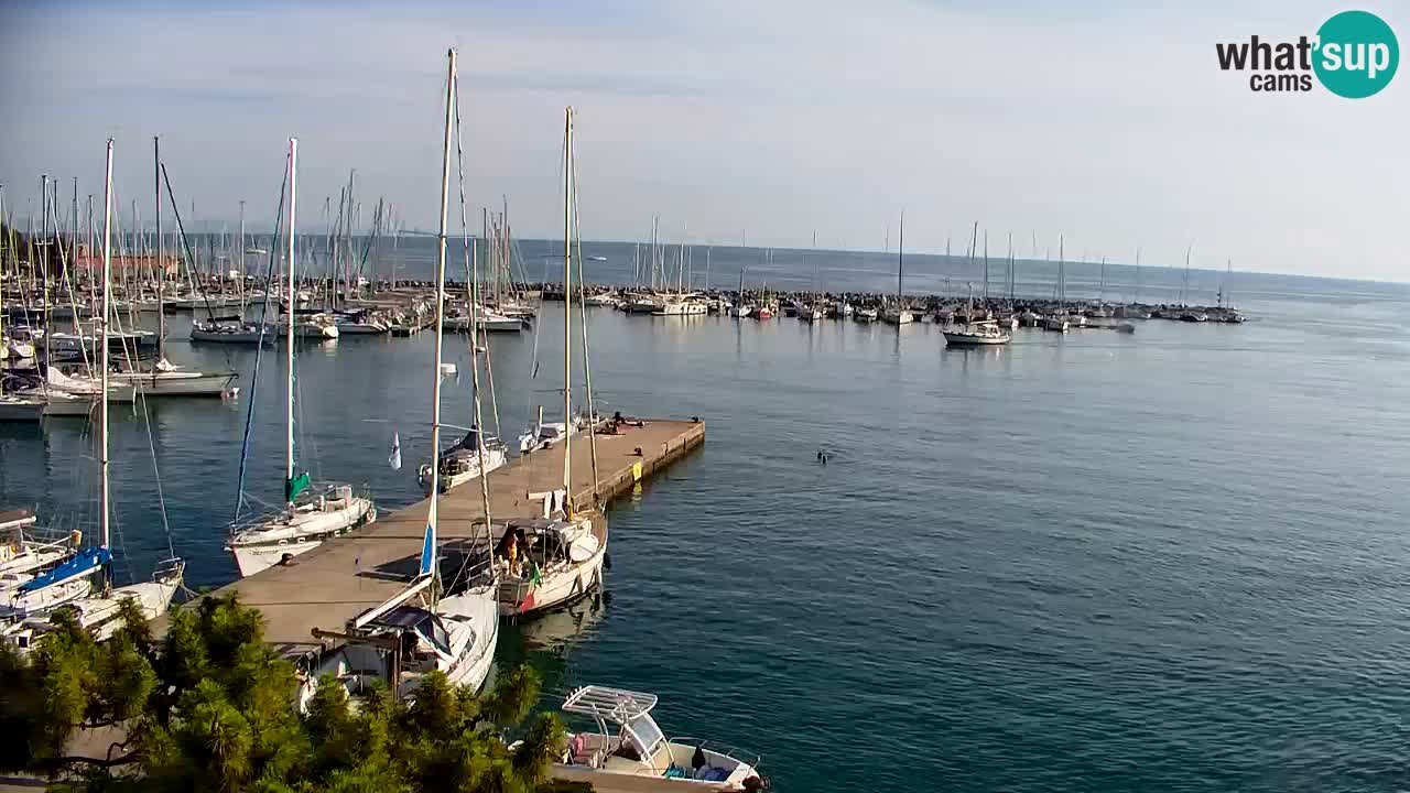 Webcam Sistiana Bucht – Liveblick auf Marina und Bucht