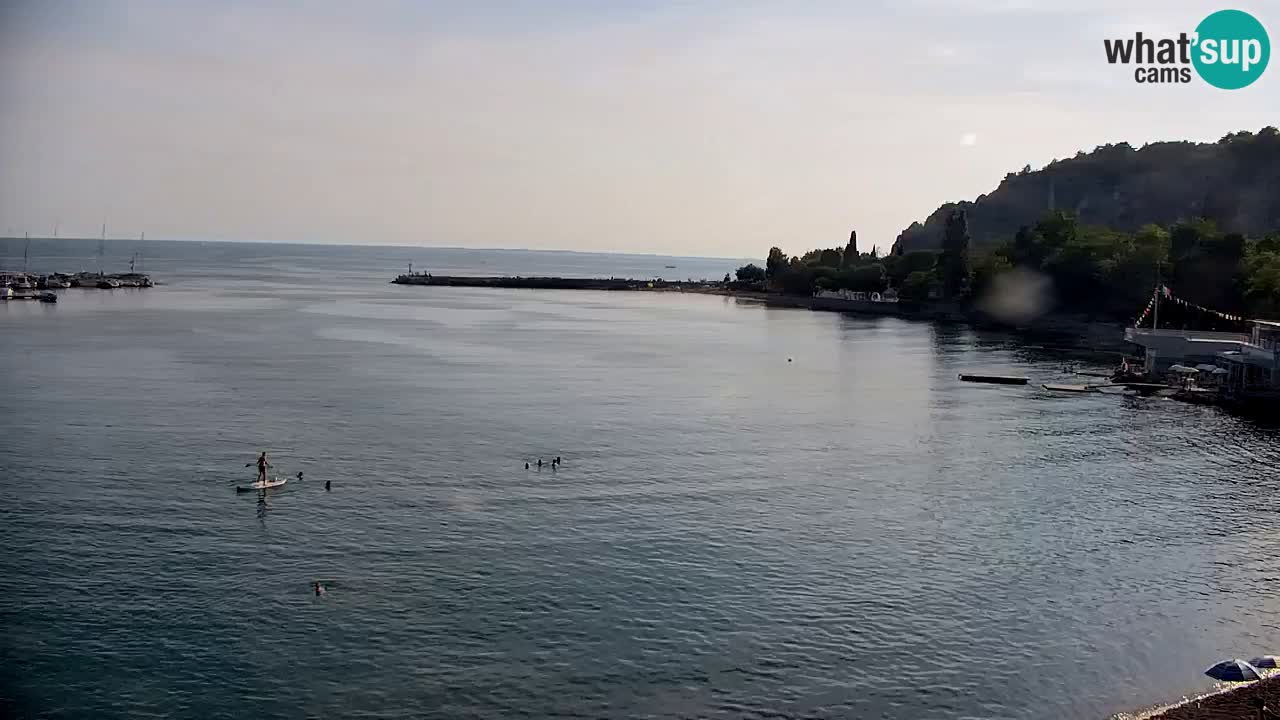 Webcam Baie de Sistiana – Vue en direct de la marina et de la baie