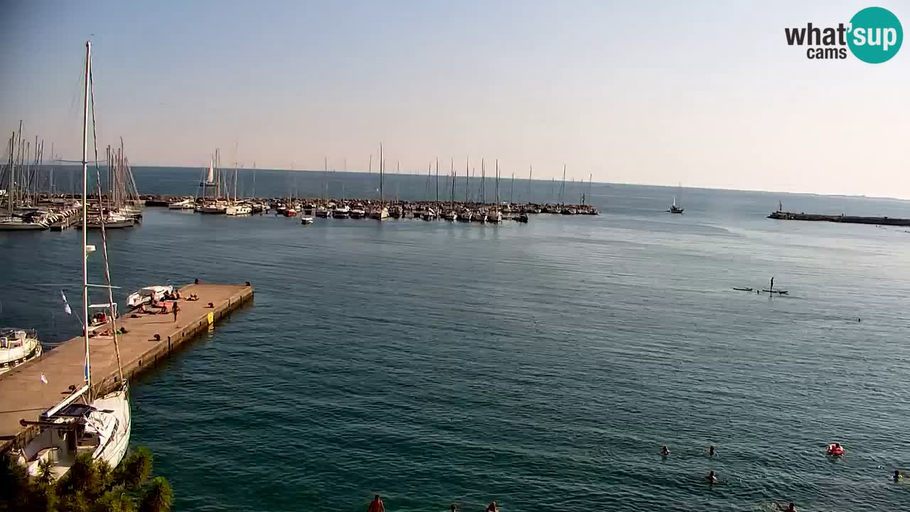 Spletna kamera Sesljanski zaliv – Pogled v živo na marino in zaliv