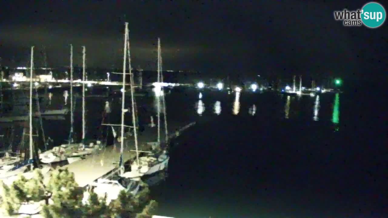 Webcam Sistiana Baia – Live View of the Marina and Gulf