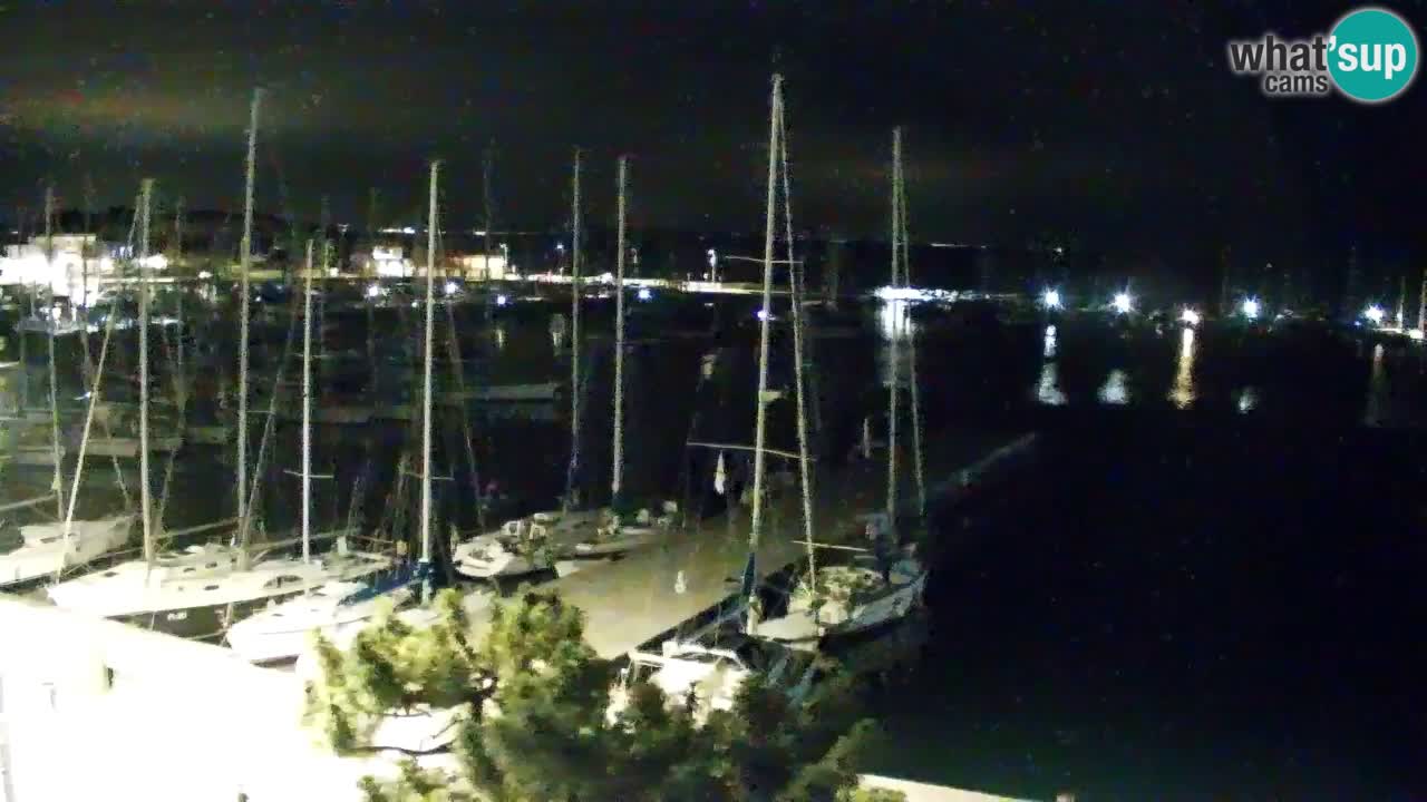Webcam Sistiana Baia – Live View of the Marina and Gulf