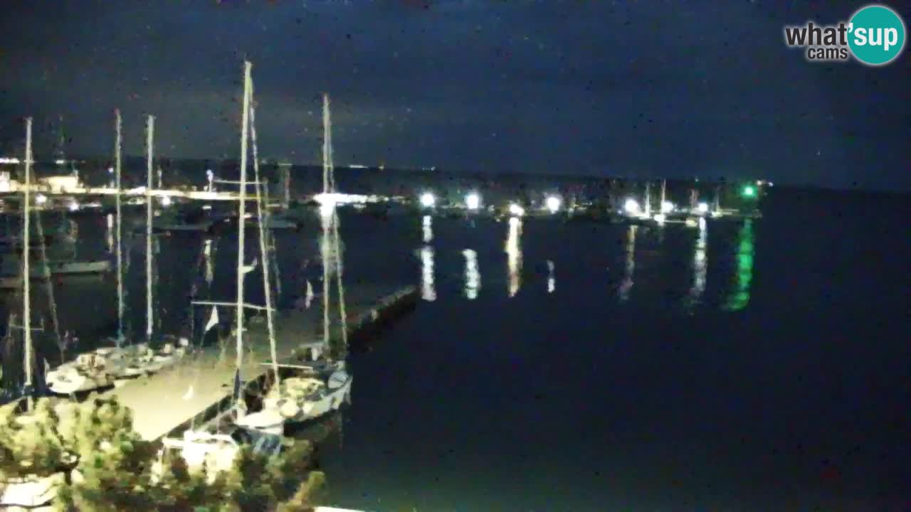 Webcam Bahía de Sistiana – Vista en directo del puerto deportivo y la costa